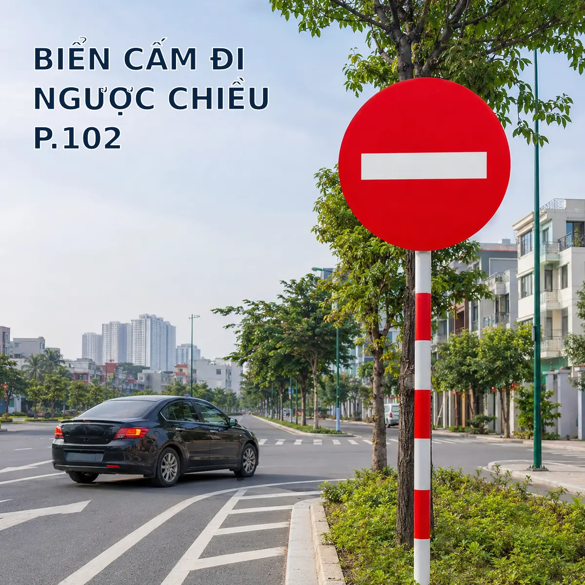Biển Cấm Đi Ngược Chiều P.102: Ý Nghĩa, Mức Phạt